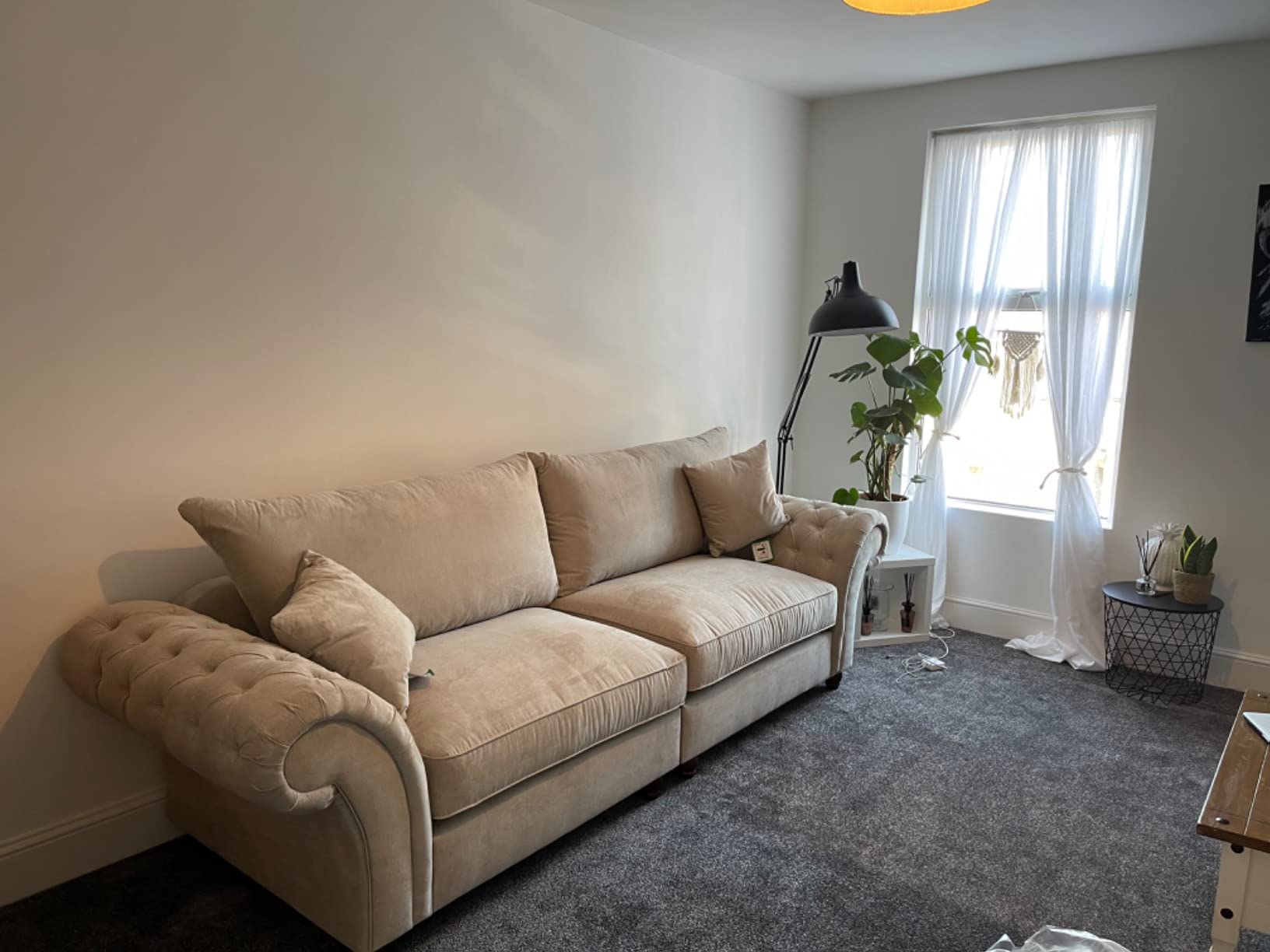 Nicole Sofa - Elegant & Comfortable Fabric & with all color